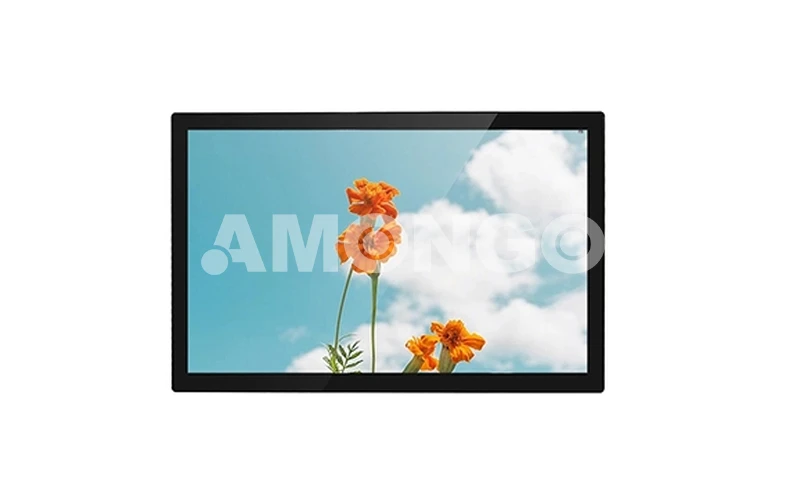 AMG-21IPRV01T1 높은 밝기 디스플레이