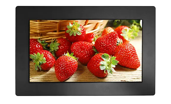 18.5 인치 패널 마운트 LCD 모니터